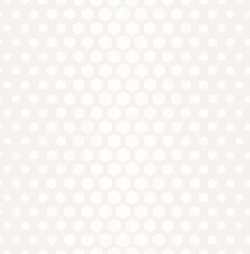 SK Filson White Hexagon Ombre Wallpaper